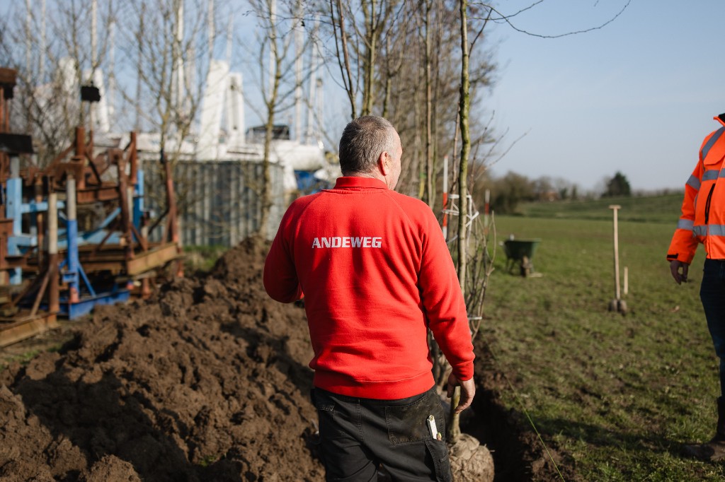 Bomen planten & nazorg - Afbeelding 2
