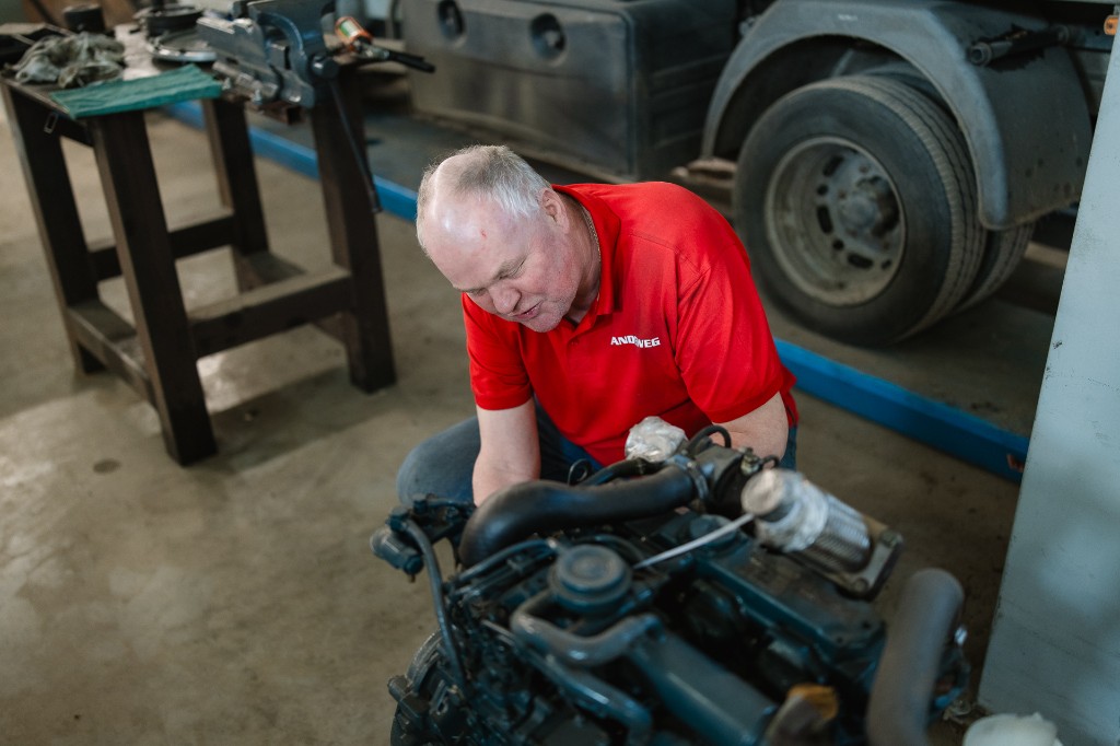 Bomen planten & nazorg - Afbeelding 3