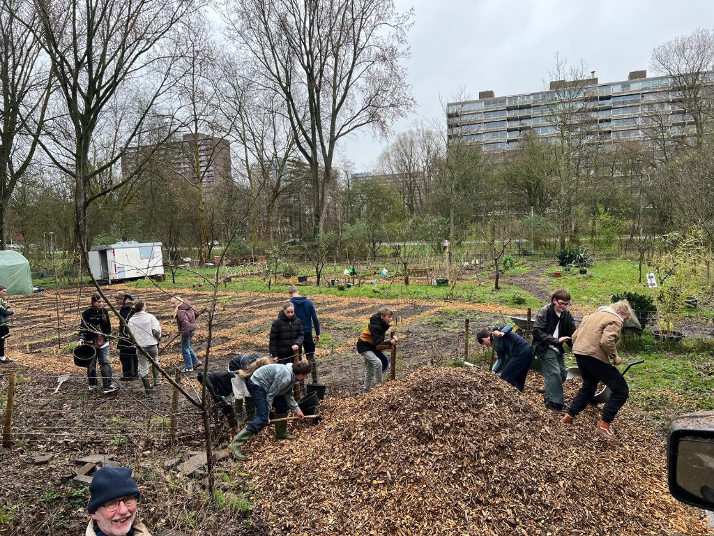 Houtsnippers voor volkstuinen Delft