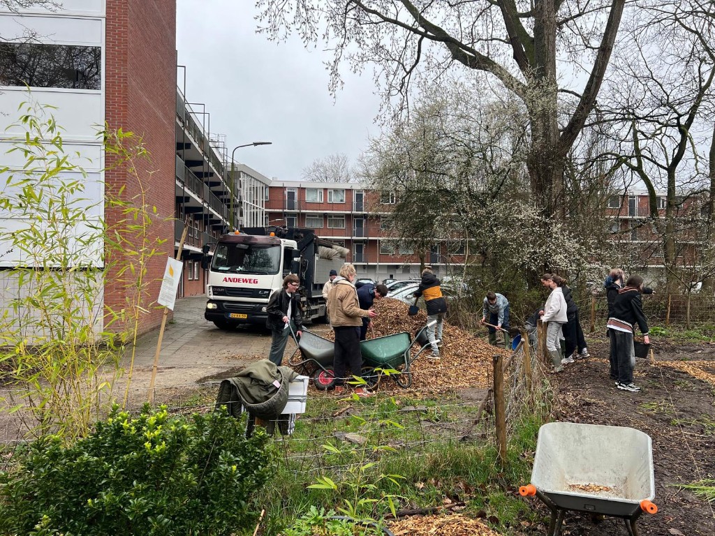 Houtsnippers voor volkstuinen in Delft - Afbeelding 2