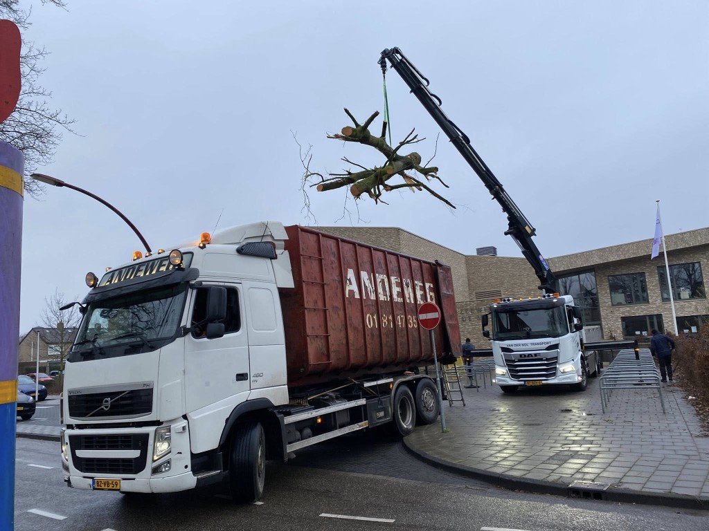 Speelboom bij basisschool De Zeewinde