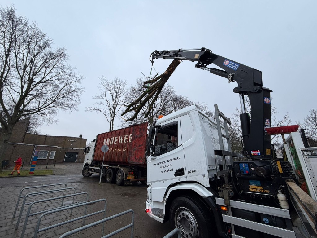Speelboom bij basisschool De Zeewinde - Afbeelding 3