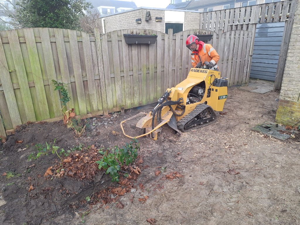 Stobbenfrees in achtertuin Hellevoetsluis