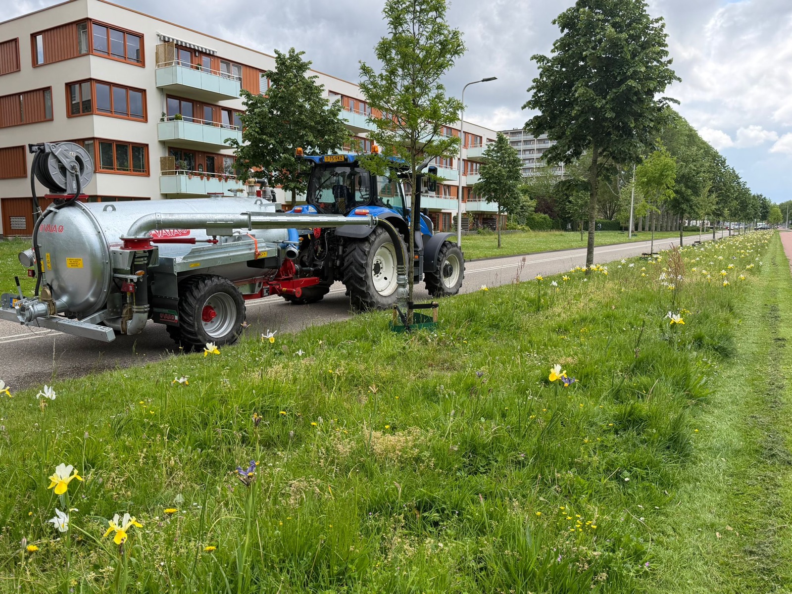 Tractor met watertank langs een laan jonge bomen
