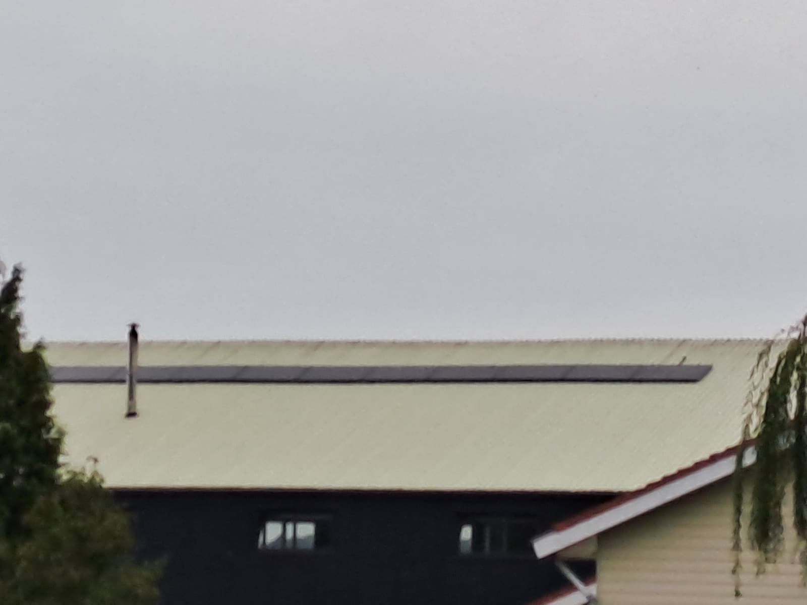 Rij zonnepanelen op het dak van de loods